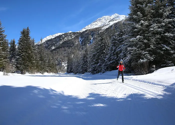 Rifugio Ghiacciaio Dei Forni ホテル ヴァルフルヴァ