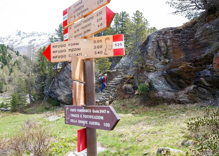 ホテル Rifugio Ghiacciaio Dei Forni ヴァルフルヴァ