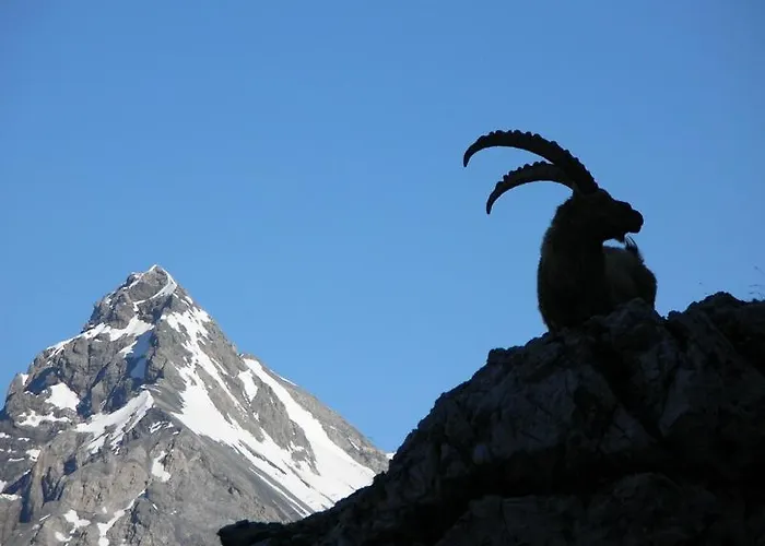 ホテル Rifugio Ghiacciaio Dei Forni ヴァルフルヴァ