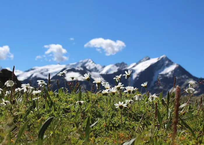 Rifugio Ghiacciaio Dei Forni ホテル