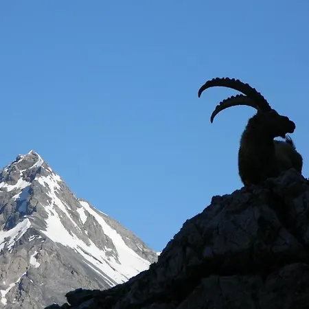 Hotel Rifugio Forni Valfurva