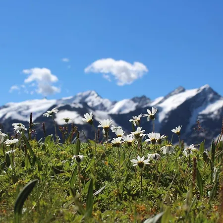 Rifugio Forni Hotel